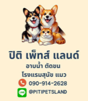 โรงแรมแมวทุ่งครุ ปิติ เพ็ทส์ แลนด์